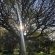 Woodbourne Resort - 268953