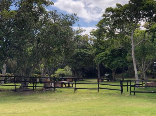 Woodbourne Resort - 268955