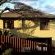 Umbrella Tree House - 268966