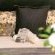 STAY LOCAL SA - Potchefstroom - Bed