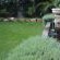 STAY LOCAL SA - Potchefstroom - Garden