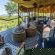 Buffalo Ridge Safari Lodge - 269187