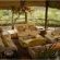Buffalo Ridge Safari Lodge - 269188