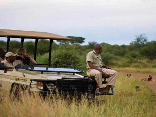 Buffalo Ridge Safari Lodge - 269192