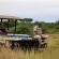 Buffalo Ridge Safari Lodge - 269192