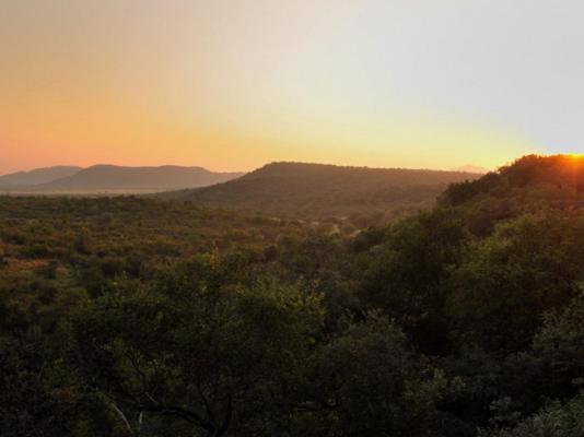 Buffalo Ridge Safari Lodge - 269194