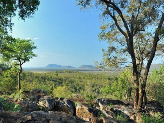 Buffalo Ridge Safari Lodge - 269198