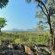 Buffalo Ridge Safari Lodge - 269198