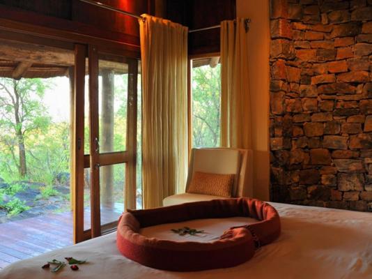 Buffalo Ridge Safari Lodge - 269206