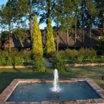 Quiet Mountain Country House - Garden