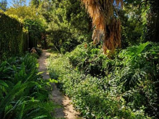 Quiet Mountain Country House - Garden