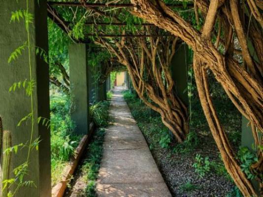 Quiet Mountain Country House - Garden