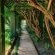 Quiet Mountain Country House - Garden