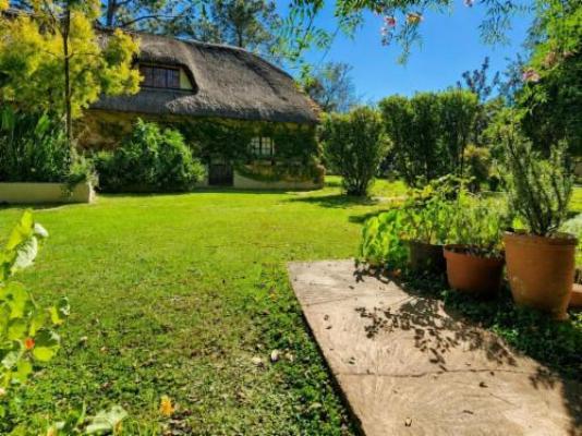 Quiet Mountain Country House - Garden