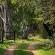 Quiet Mountain Country House - Garden