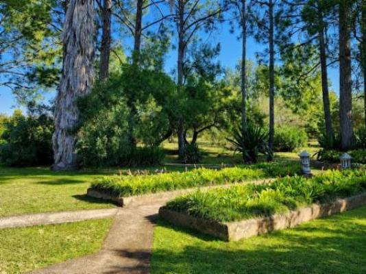 Quiet Mountain Country House - Garden
