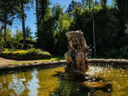 Quiet Mountain Country House - Garden