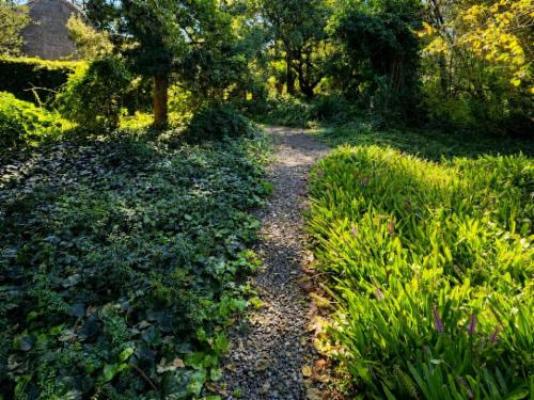 Quiet Mountain Country House - Garden