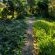 Quiet Mountain Country House - Garden