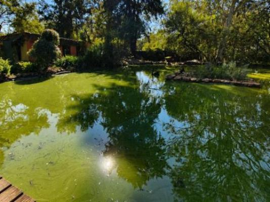 Quiet Mountain Country House - Garden