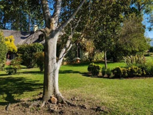 Quiet Mountain Country House - Garden