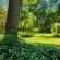 Quiet Mountain Country House - 269391
