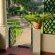 Quiet Mountain Country House - 269419