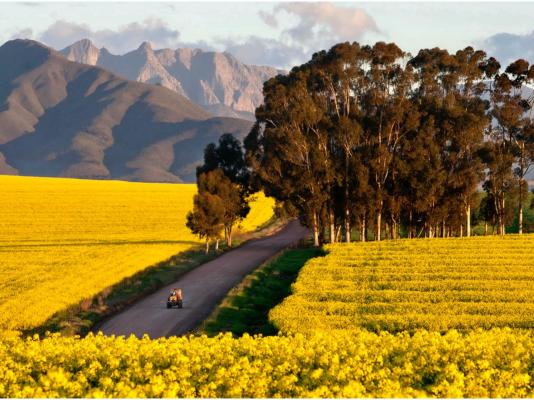 Bartholomeus Klip Farmhouse - 269507
