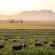 Bartholomeus Klip Farmhouse - 269510