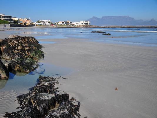 Bradclin - Blouberg - 269540