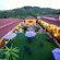 La Villa Vita Nelspruit - 269557