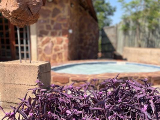 Abloom Bush Lodge and Spa Retreat - 269614
