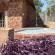 Abloom Bush Lodge and Spa Retreat - 269614