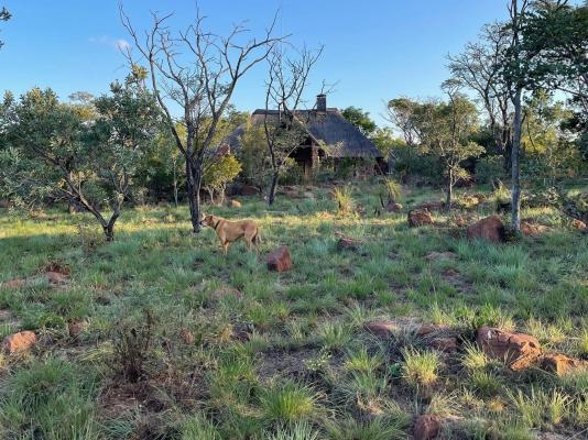 Abloom Bush Lodge and Spa Retreat - 269617