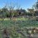 Abloom Bush Lodge and Spa Retreat - 269617
