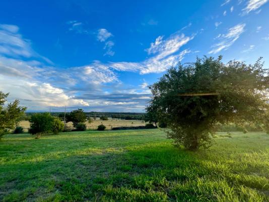 Abloom Bush Lodge and Spa Retreat - 269619