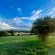 Abloom Bush Lodge and Spa Retreat - 269619