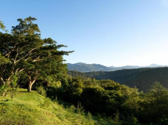 The Good Earth Farm - Garden