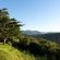 The Good Earth Farm - Garden