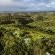 The Good Earth Farm - Bird's eye view