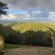The Good Earth Farm - Natural landscape