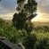 The Good Earth Farm - Garden view