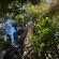The Good Earth Farm - Natural landscape