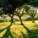 The Good Earth Farm - 269825