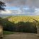 The Good Earth Farm - 269827