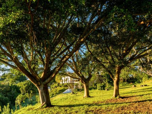 The Good Earth Farm - 269830