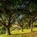 The Good Earth Farm - 269830