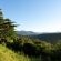 The Good Earth Farm - 269833