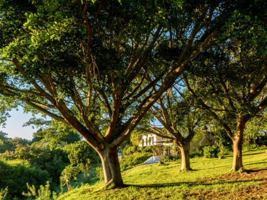 The Good Earth Farm - 269837