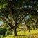 The Good Earth Farm - 269837